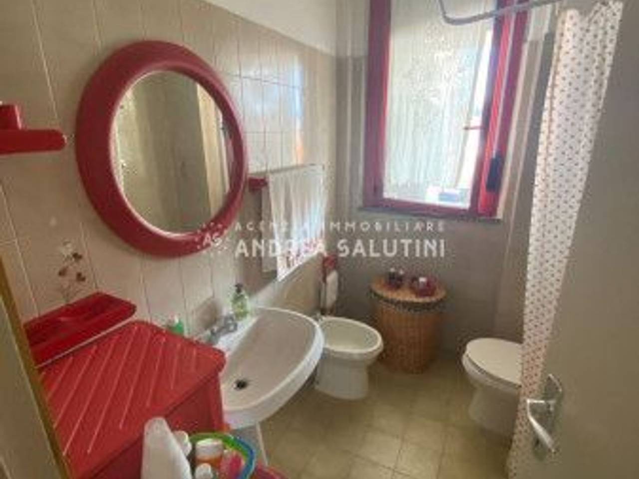 immagine annuncio 6 di 14