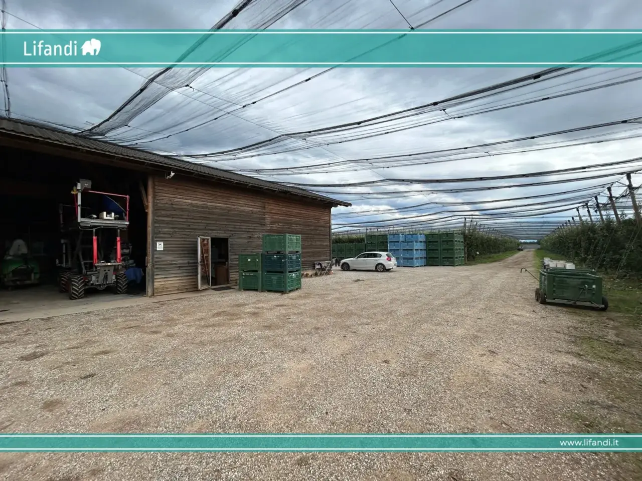 Azienda agricola in , Castions Di Strada, {3} - Foto 1