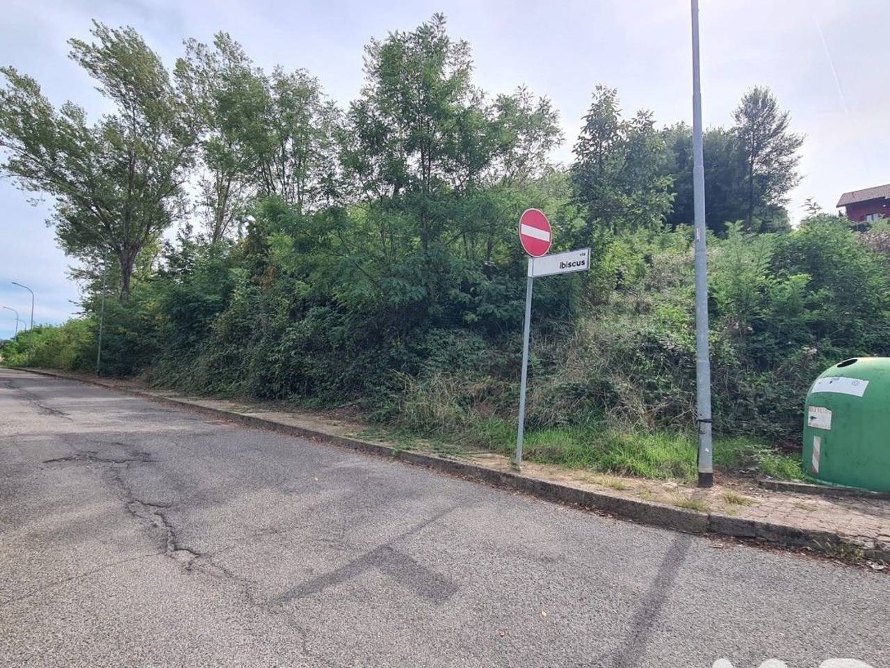 immagine annuncio 10 di 12