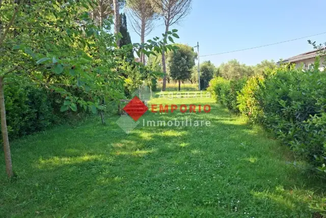 insertion image