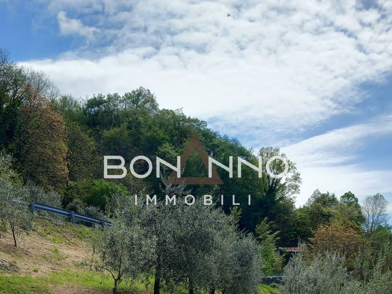 immagine annuncio 8 di 11