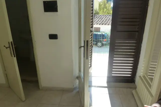 insertion image