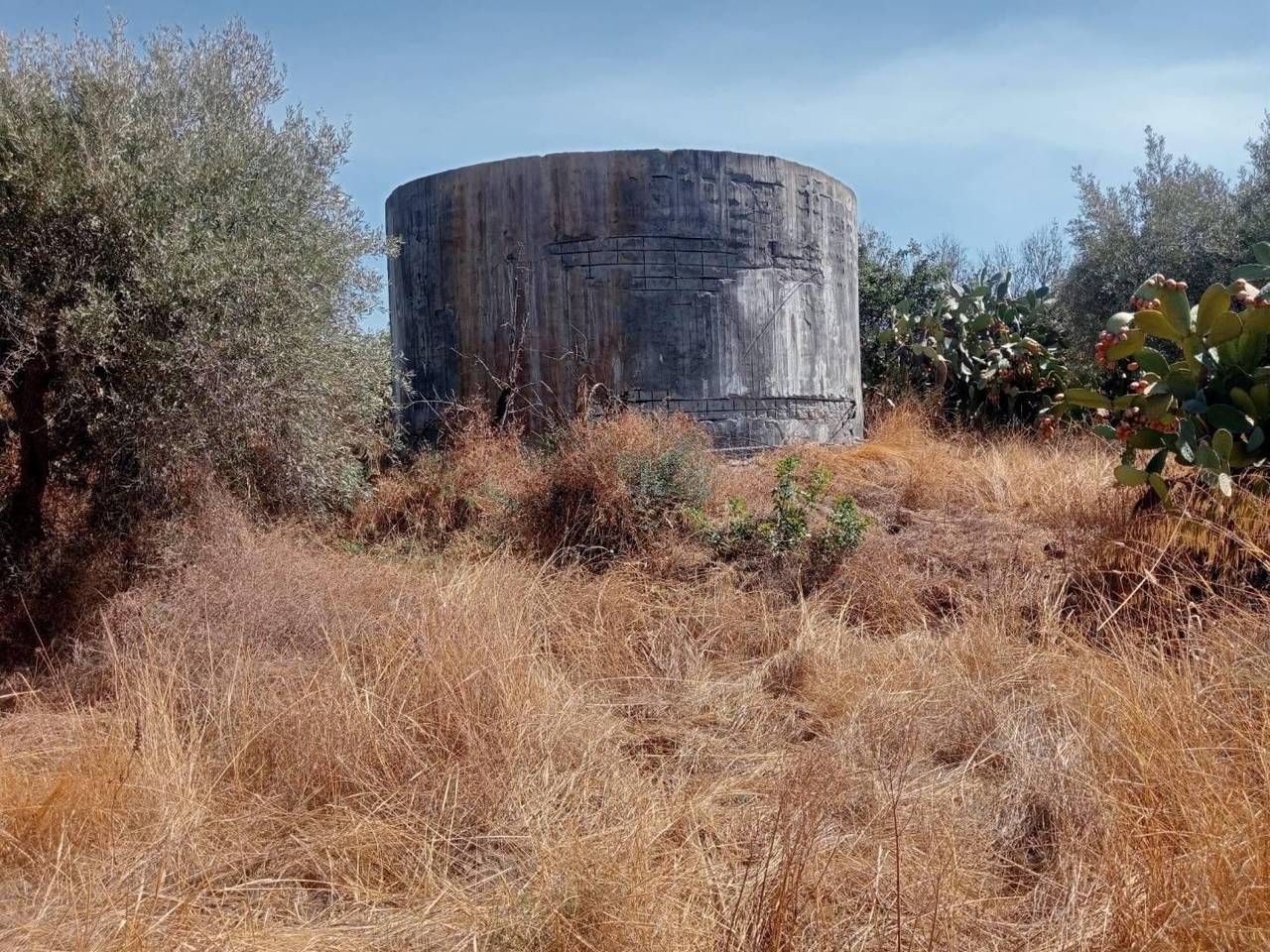 immagine annuncio 5 di 7