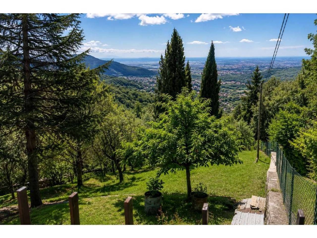 immagine annuncio 5 di 12