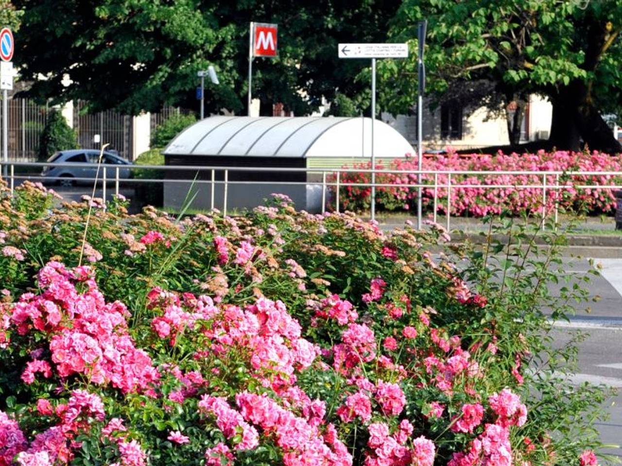 immagine annuncio 2 di 8