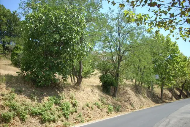 Terreno edificabile in Contrada Giardino, Colonnella - Foto 1