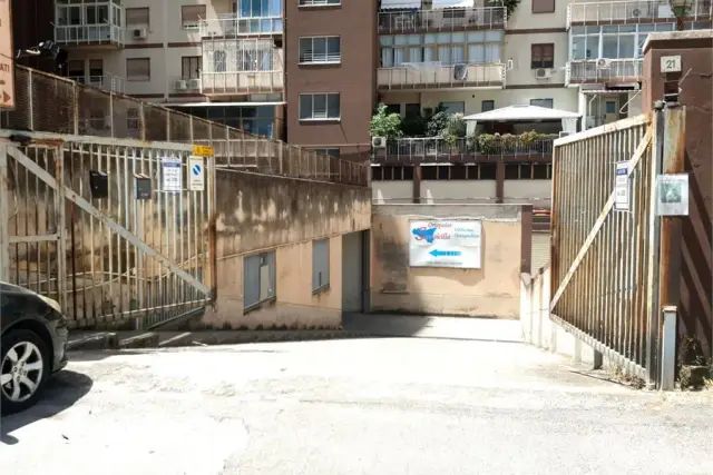 insertion image