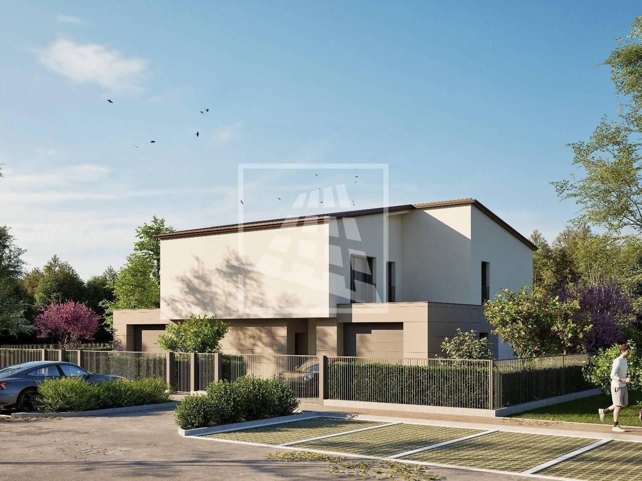 immagine annuncio 3 di 6