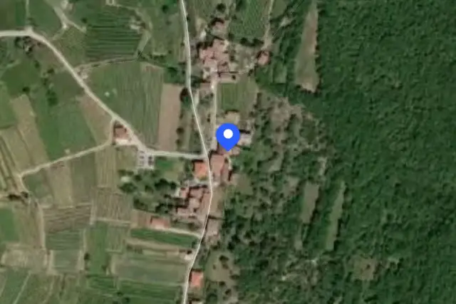 insertion image
