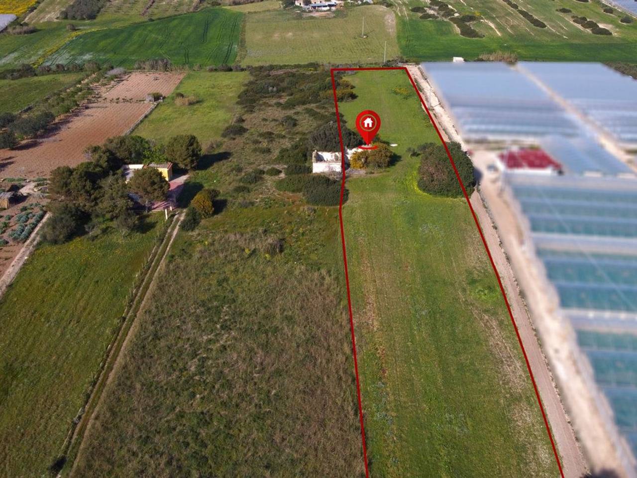 immagine annuncio 1 di 13