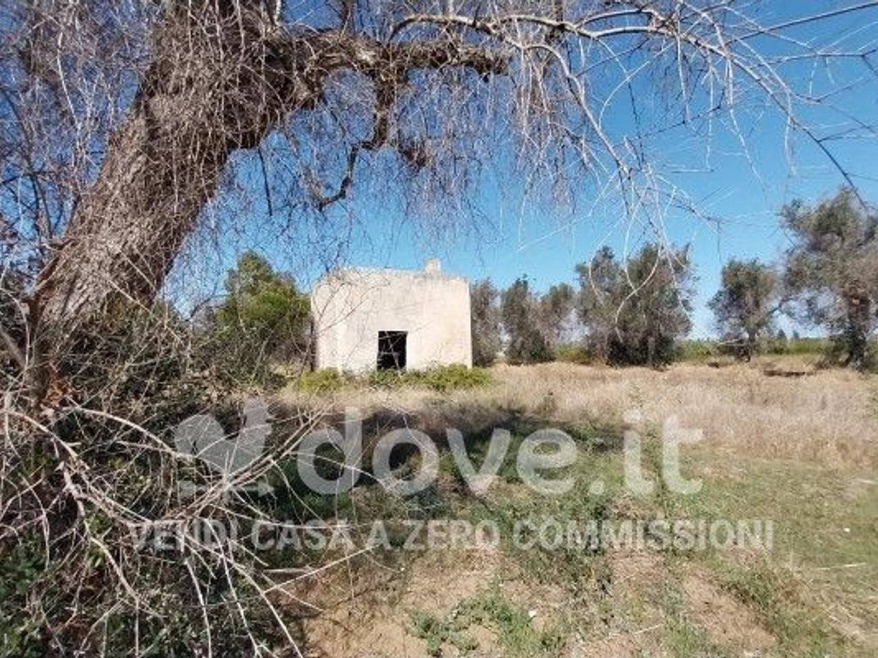 immagine annuncio 9 di 11