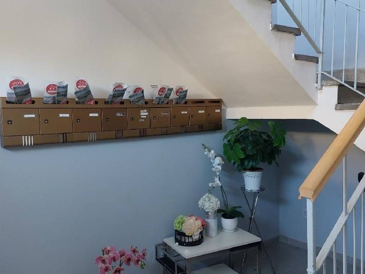 immagine annuncio 10 di 12