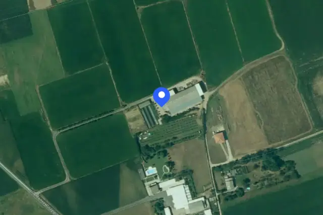 insertion image