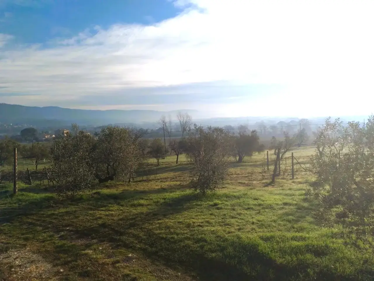 Laboratorio in , Tuoro Sul Trasimeno, {3} - Foto 2