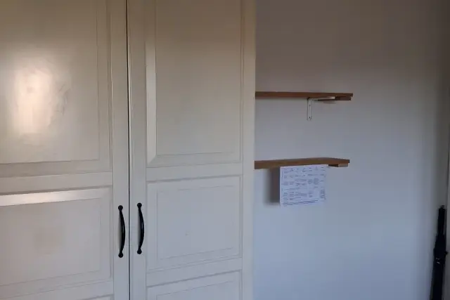 insertion image