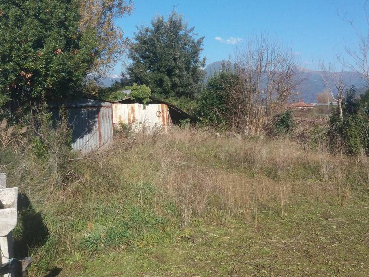 immagine annuncio 3 di 8