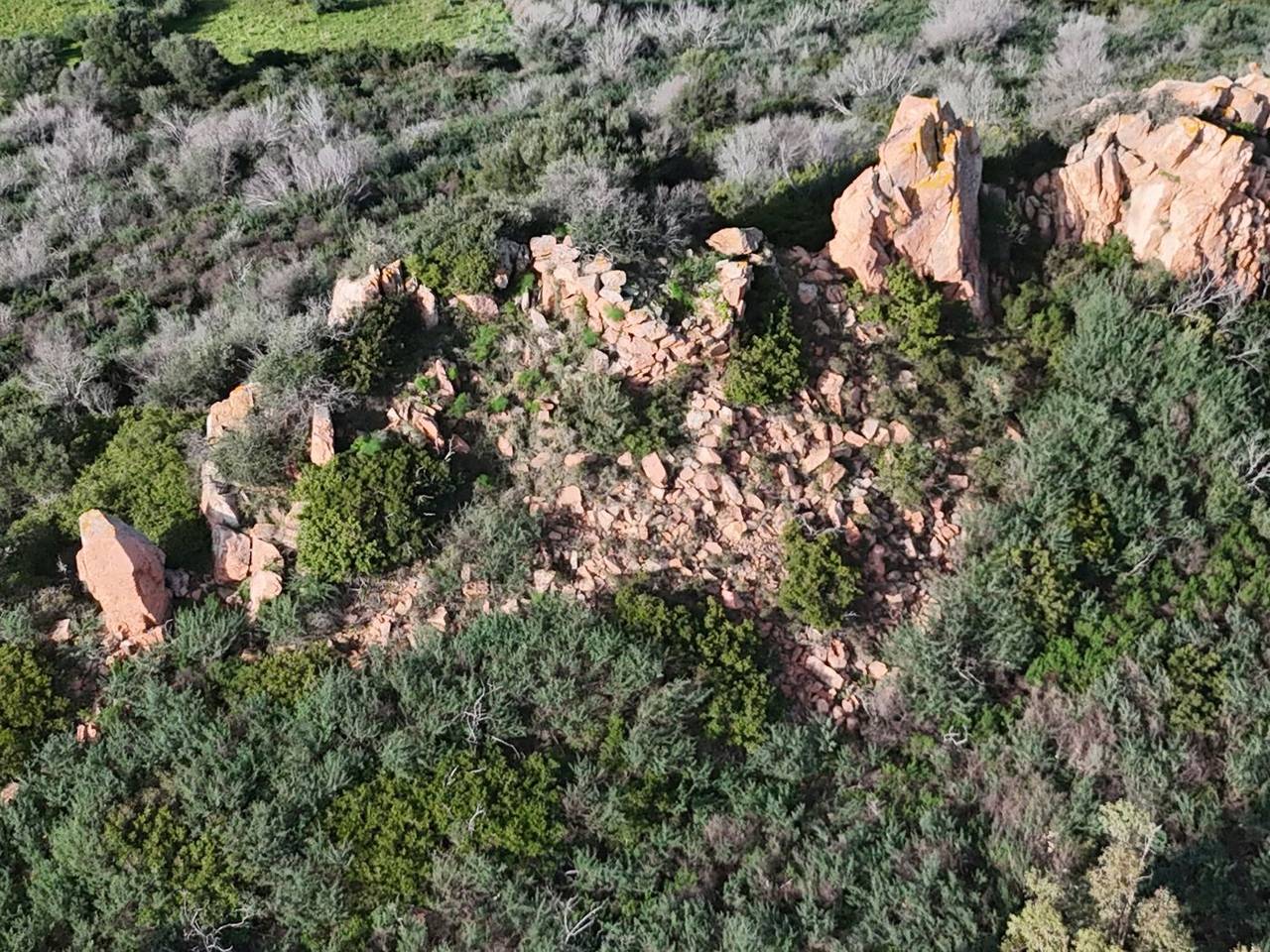 immagine annuncio 9 di 11