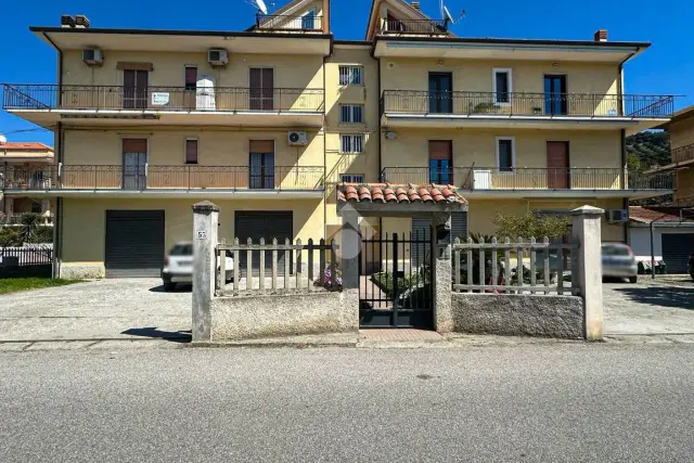 insertion image