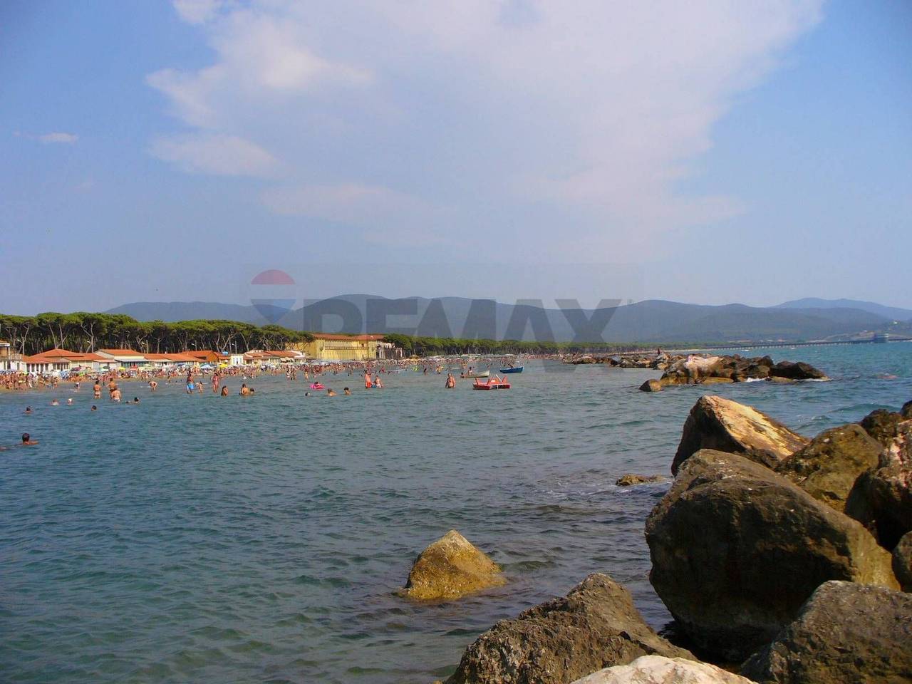 immagine annuncio 5 di 14