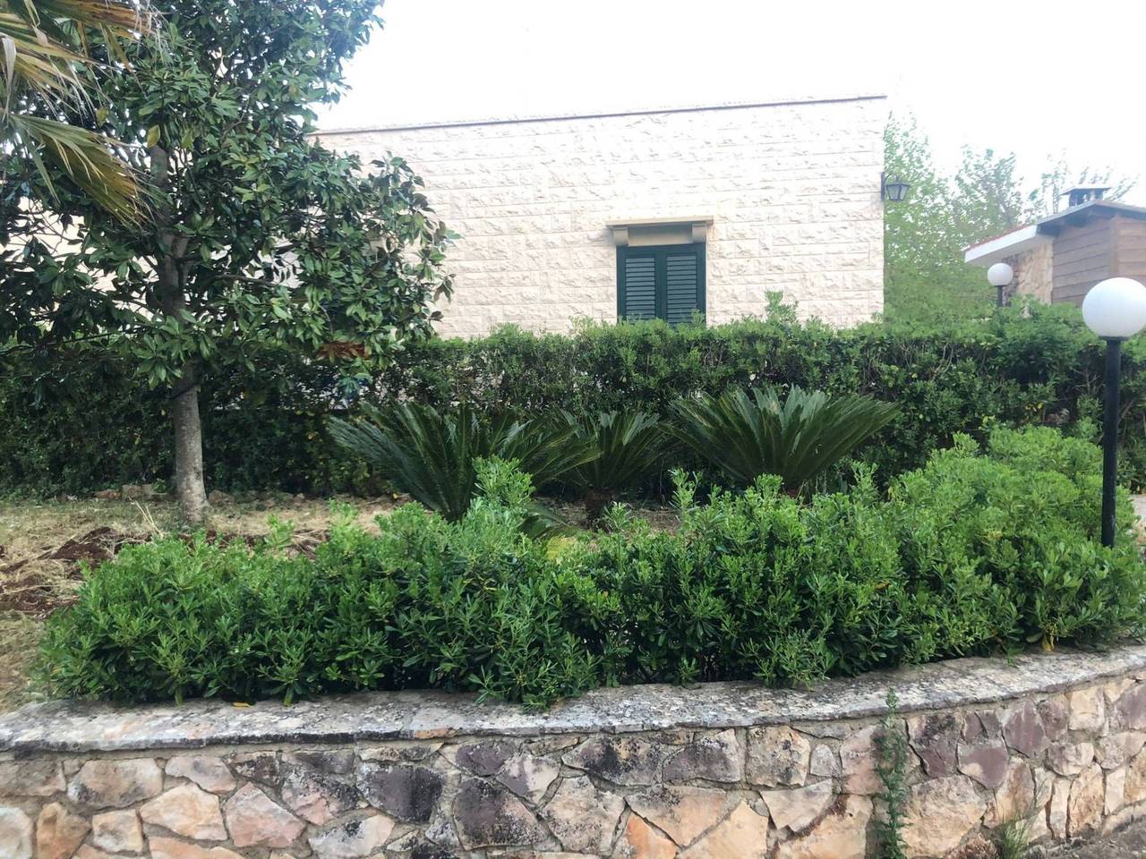 immagine annuncio 10 di 11