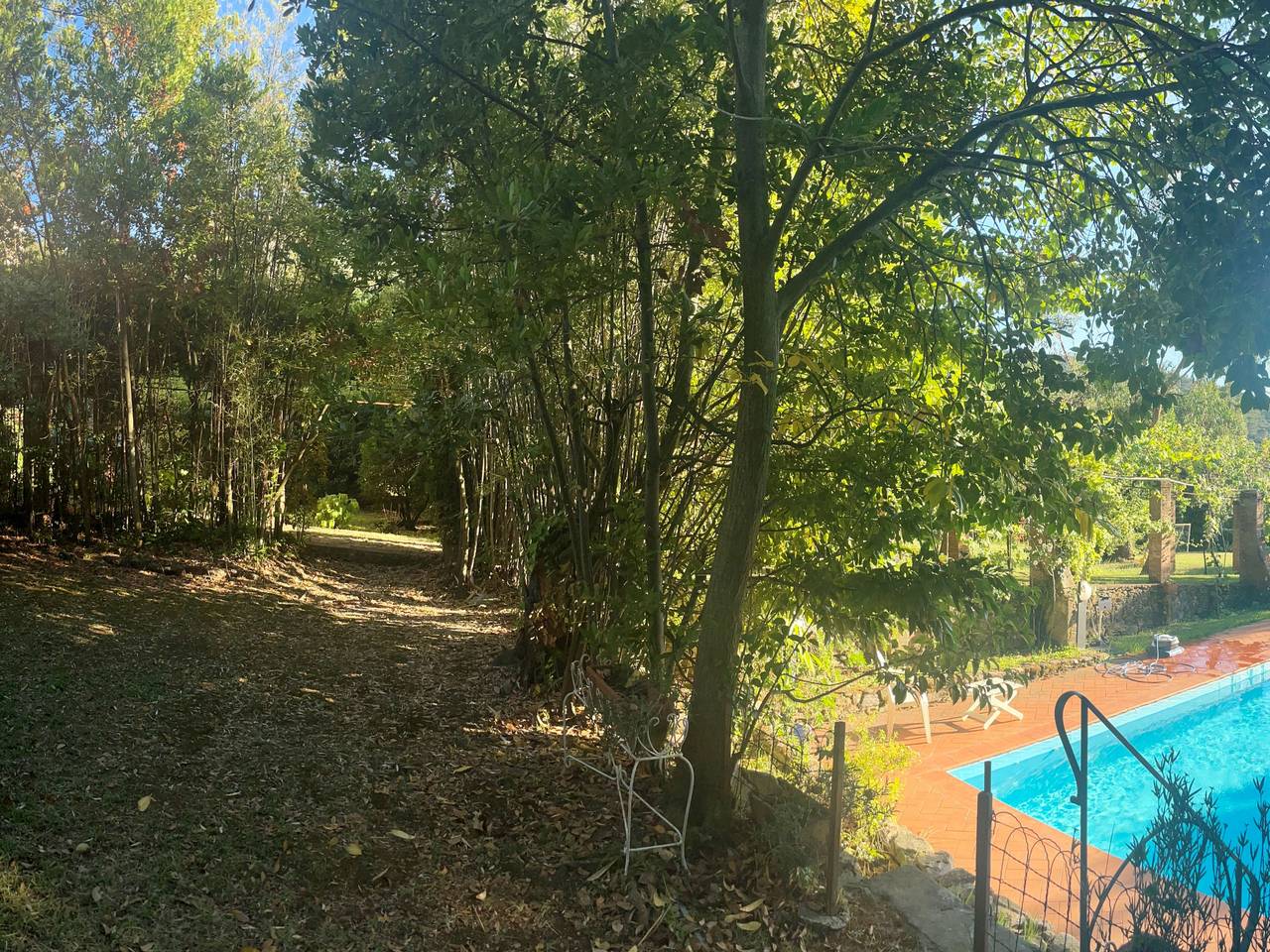 immagine annuncio 1 di 7