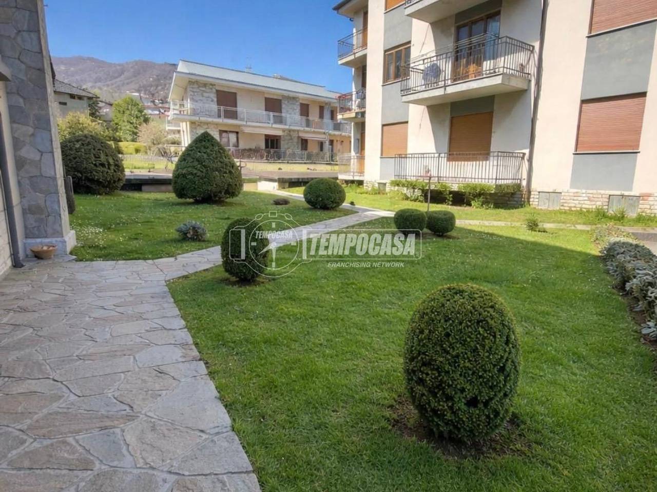 immagine annuncio 2 di 7