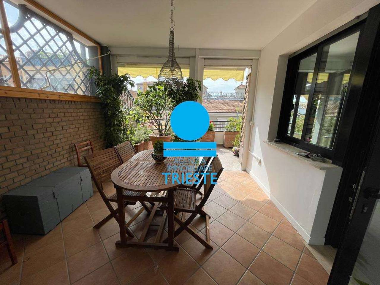 immagine annuncio 7 di 13