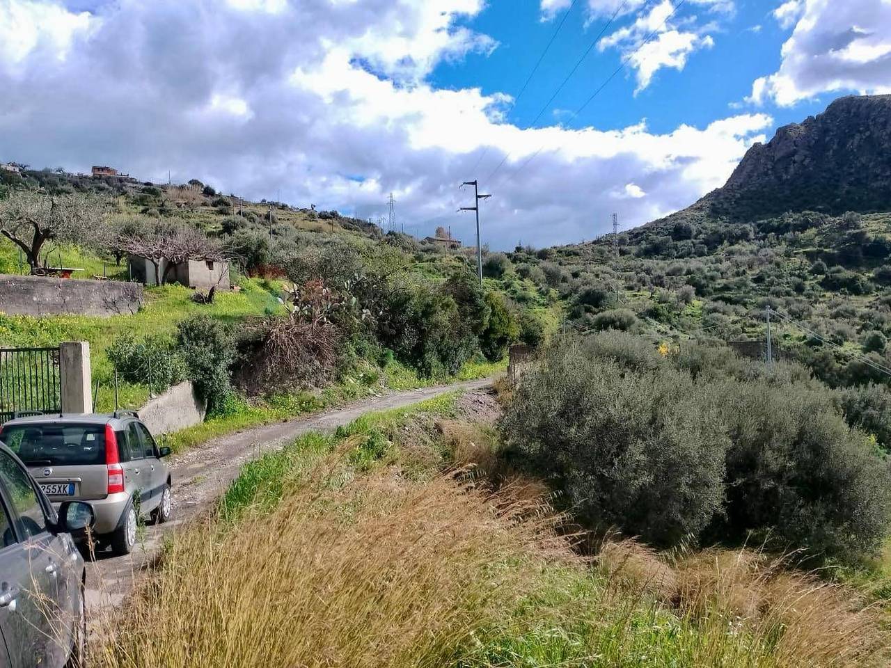 immagine annuncio 3 di 8