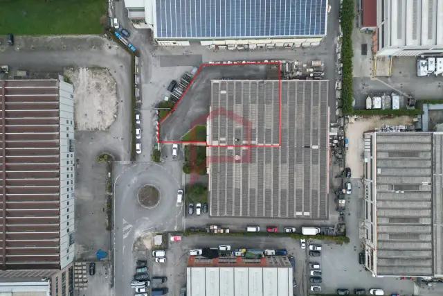 insertion image