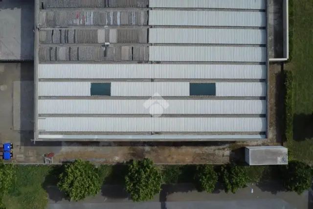 insertion image