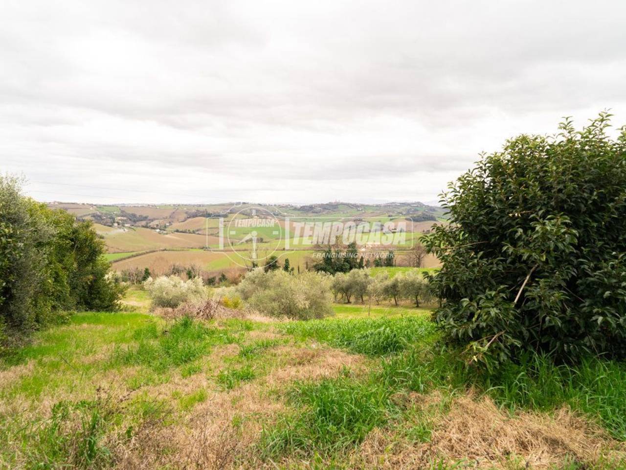 immagine annuncio 4 di 9