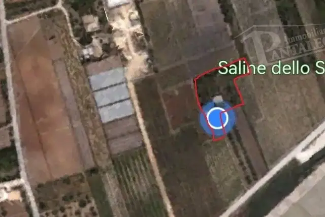 insertion image