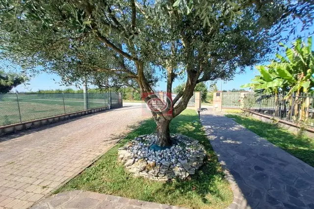 Villa bifamiliare, Cesena - Foto 1