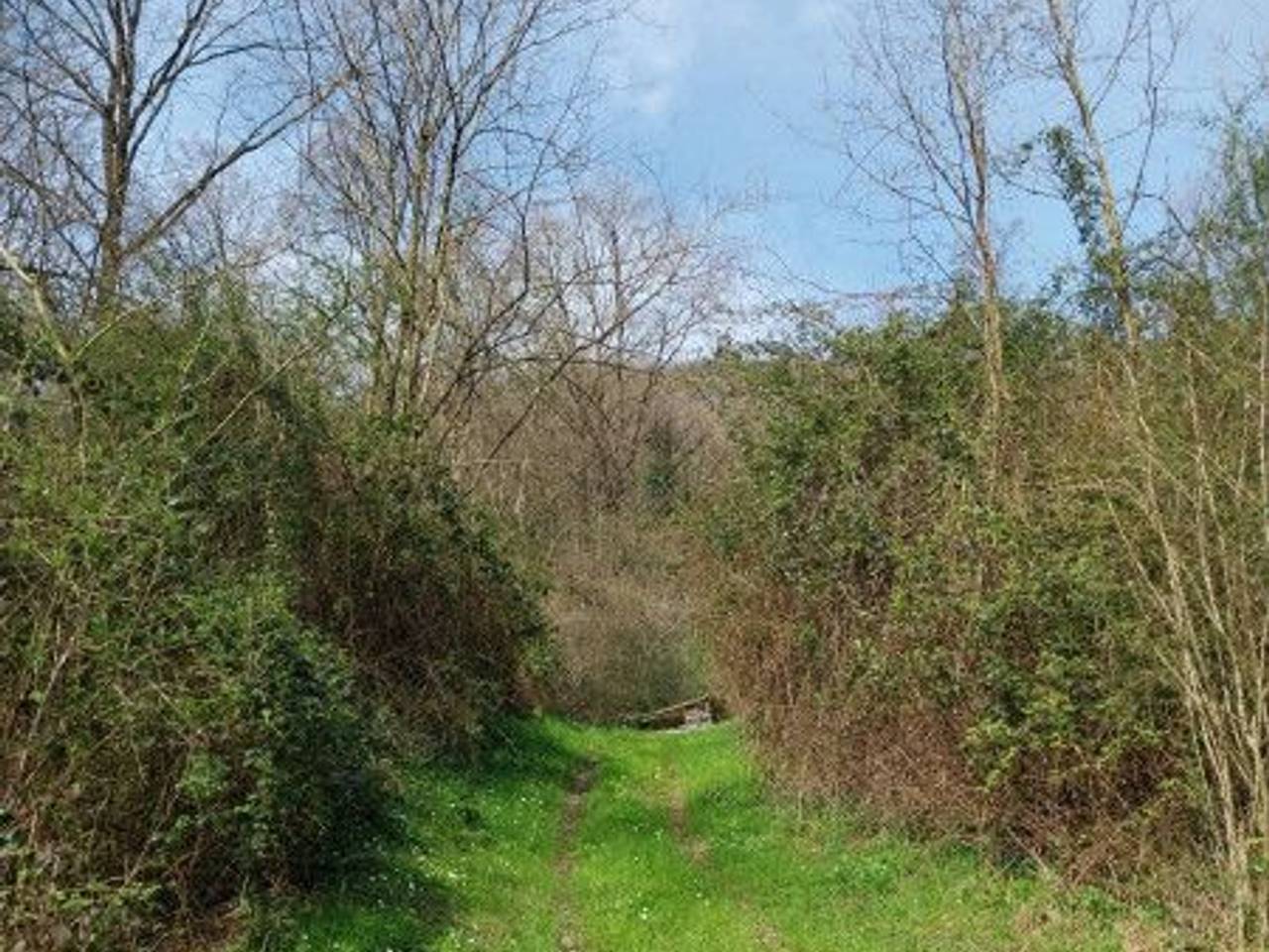 immagine annuncio 3 di 7