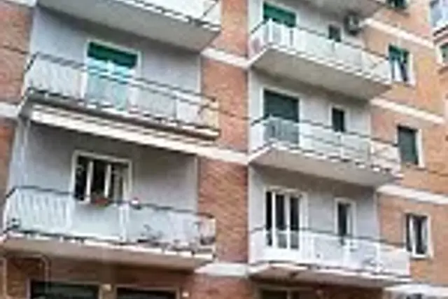 insertion image