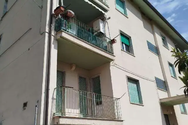 insertion image