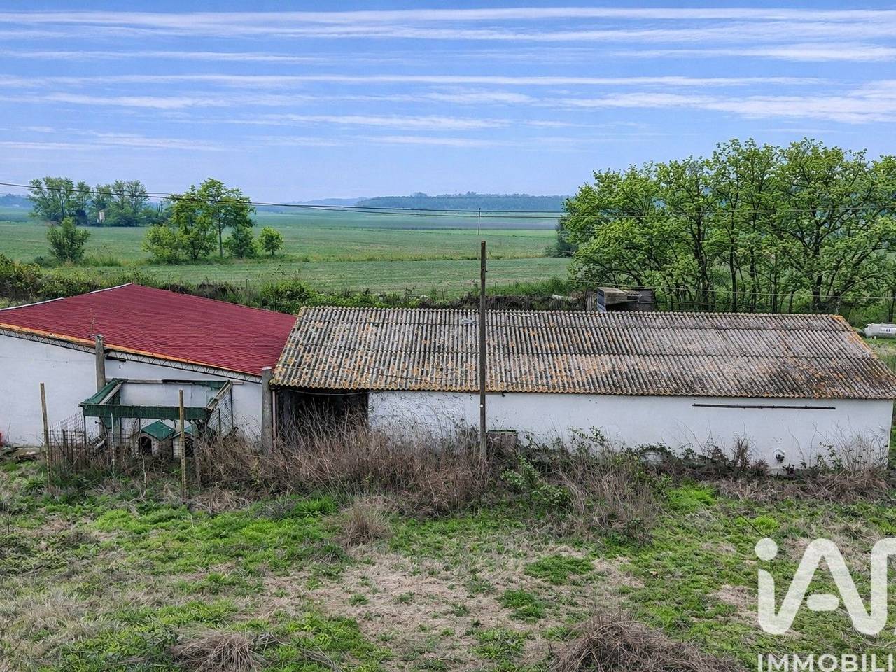 immagine annuncio 14 di 15