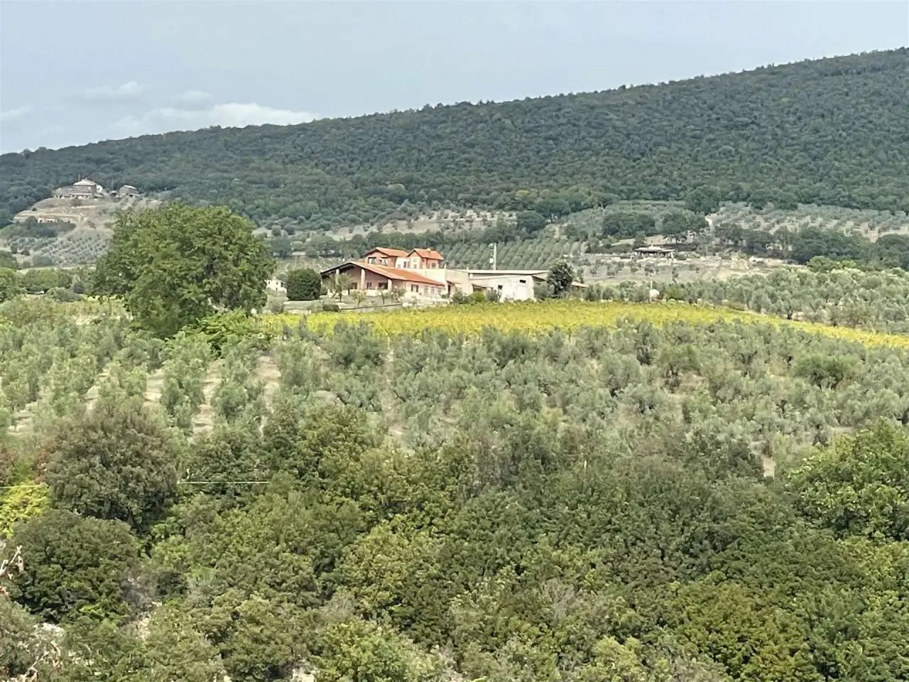 Azienda agricola in , Montecchio, {3} - Foto 1