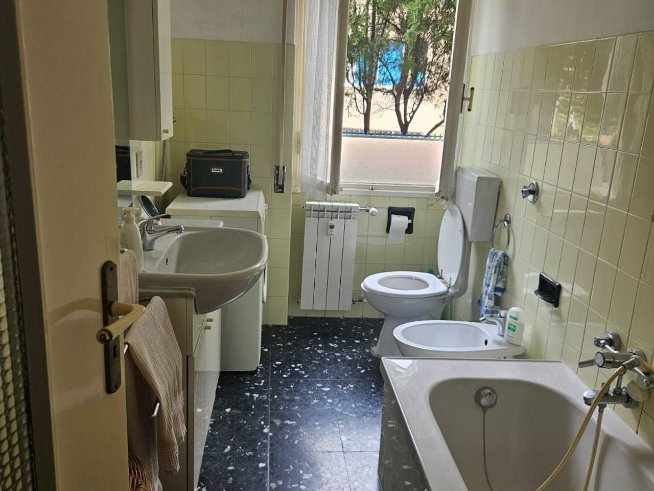 immagine annuncio 9 di 12
