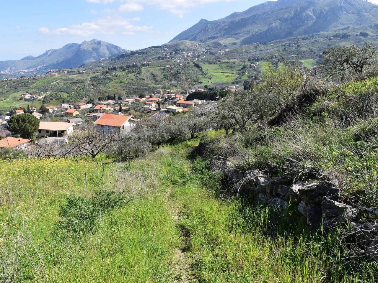 immagine annuncio 11 di 14