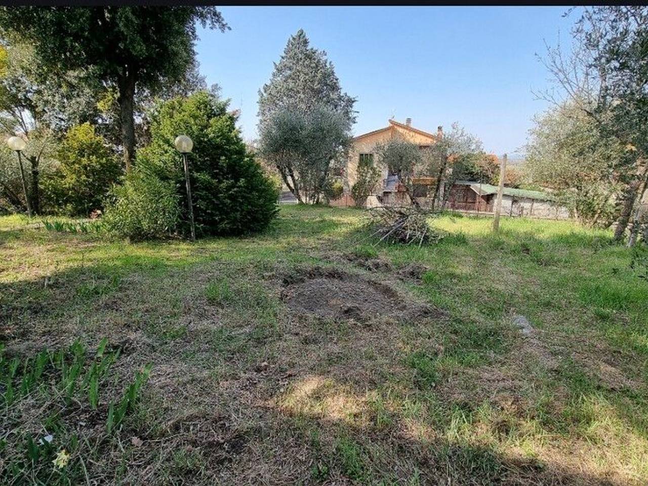 immagine annuncio 9 di 14