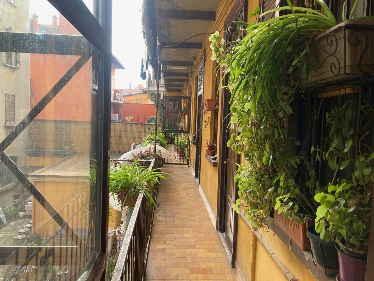 immagine annuncio 11 di 13