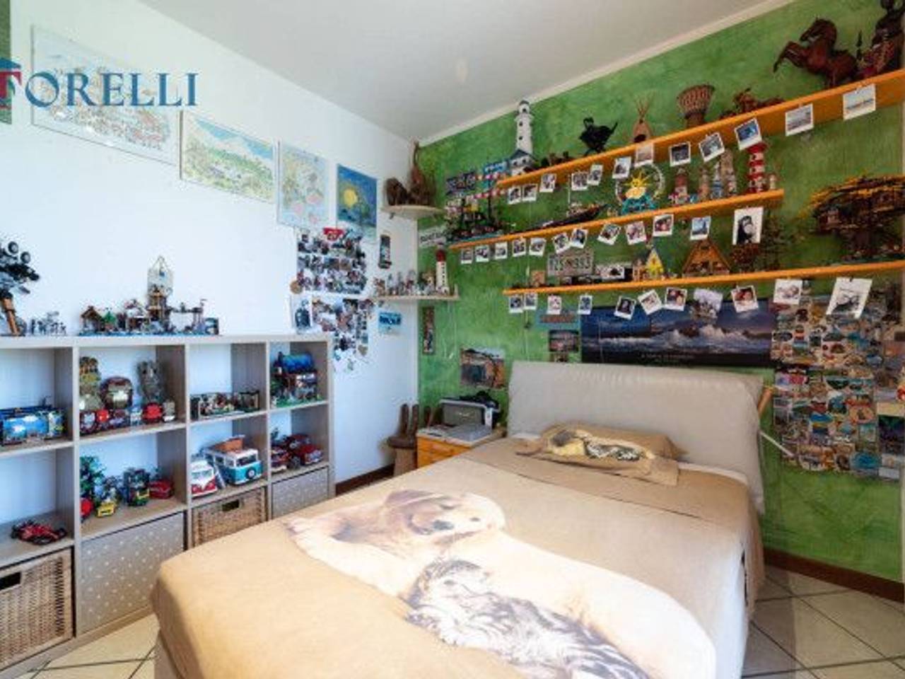 immagine annuncio 12 di 15