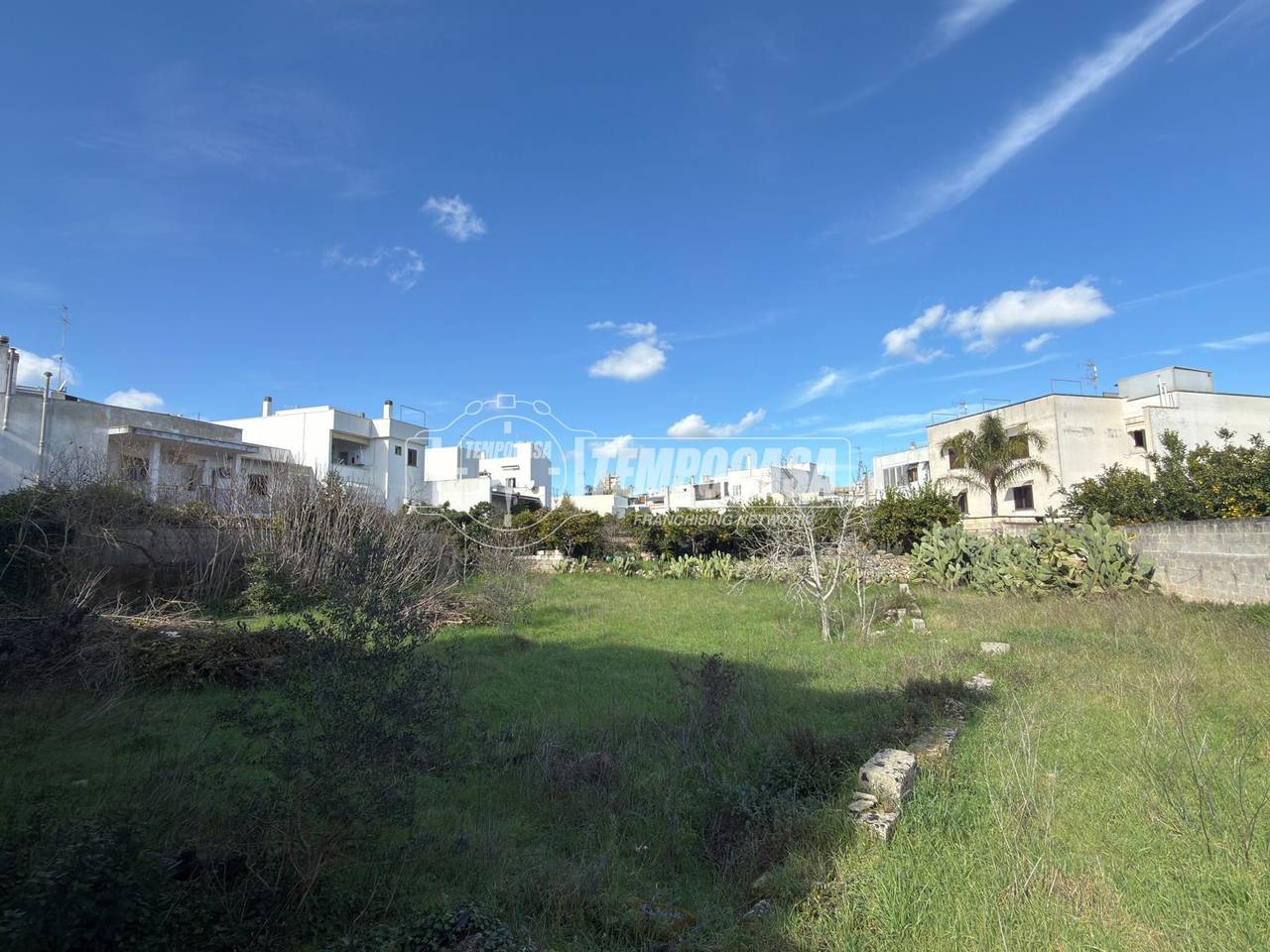 immagine annuncio 2 di 14