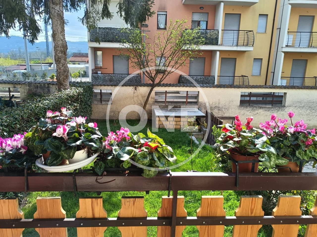 immagine annuncio 9 di 13