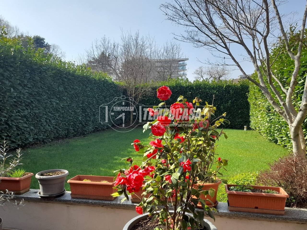 immagine annuncio 1 di 15