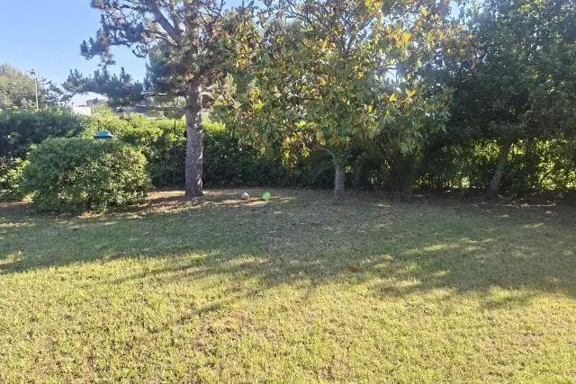 insertion image
