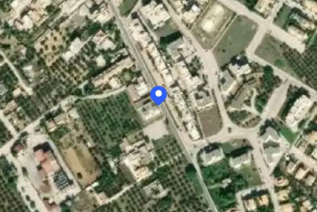 insertion image