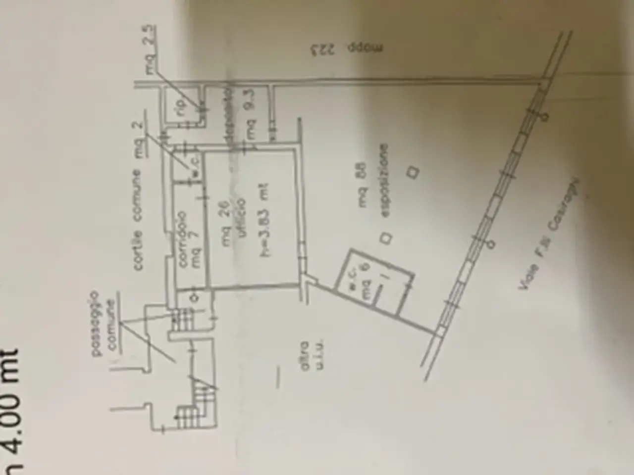 Esercizio commerciale in Via Podgora, Sesto San Giovanni, {3} - Planimetria 1
