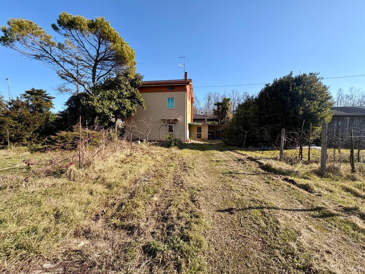 immagine annuncio 3 di 6